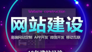 2021站群程序（站群排名技術）