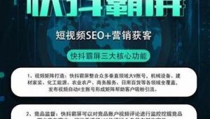 霸屏推廣軟件seo顧問怎么做(霸屏營銷)