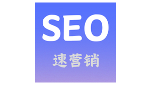 網(wǎng)站優(yōu)化外包托管_seo外包服務(wù)網(wǎng)站優(yōu)化