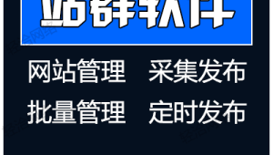 站群軟件排名（站群系統(tǒng)哪個好用）