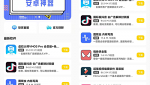 網(wǎng)站盜用軟件怎么舉報(bào)（網(wǎng)站被盜用有什么責(zé)任）