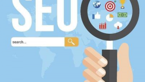 站群優(yōu)化原理（站群系統(tǒng)的優(yōu)劣）