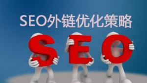 seo 快排軟件開發