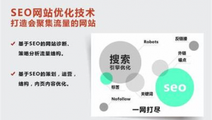 秒收錄軟件seo 營銷