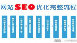 站群 引流 效果(什么網站可以引流)