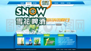 雪花軟件公司（雪花網app下載賺錢）