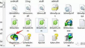 比較好用的扒站工具（安卓扒站神器）