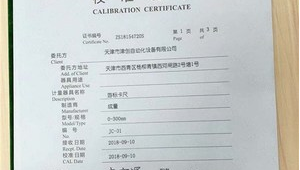 天津網站排名提升(天津網站優化首頁)