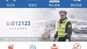 下載交管局官方網站軟件安裝(交管服務app官網下載)