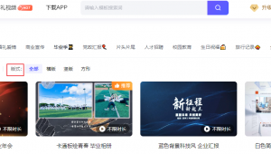 軟件錦囊下載網站安全嗎(軟件精靈-用戶登錄網址)