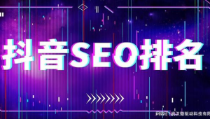 抖音seo帝搜軟件平臺(抖音視頻搜索排名帝搜軟件)