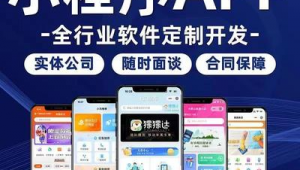 手機網頁開發軟件(手機端網站開發技術)