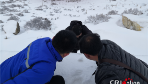 release導(dǎo)航（se導(dǎo)航有哪些）