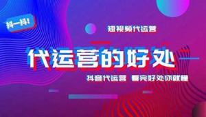 濟(jì)南抖音seo軟件公司(濟(jì)南抖音運(yùn)營(yíng)公司排行榜)