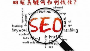 seo搜索引擎優化軟件(seo搜索優化是什么意思)