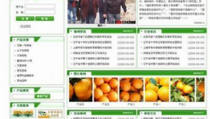 峽江seo網(wǎng)站優(yōu)化招聘_峽江seo網(wǎng)站優(yōu)化公司