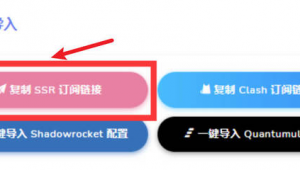 更換手機ip游覽外國網站加速軟件