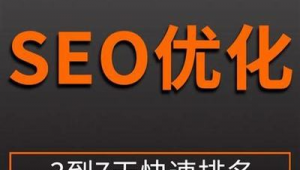 seo提升排名哪里便宜（seo做排名）